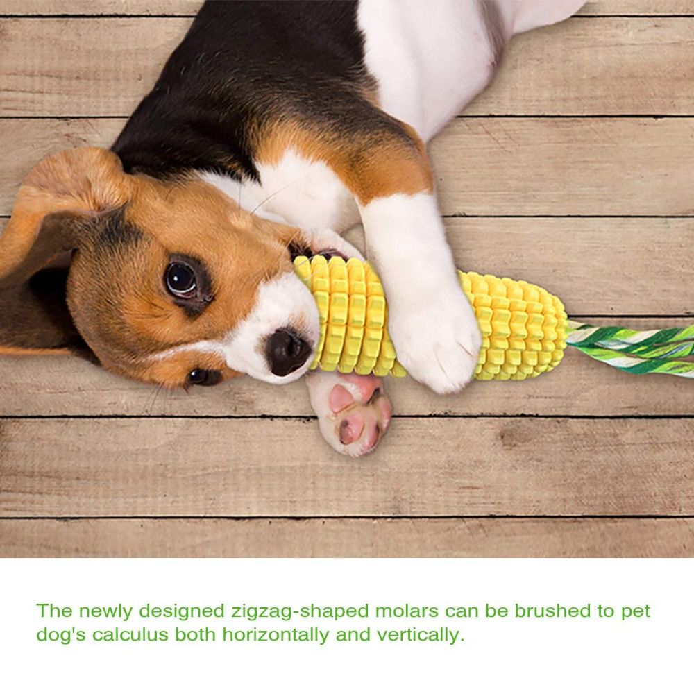 Wytrzymały gumowy gryzak dla p – Corn Dog Stick recenzja i cena