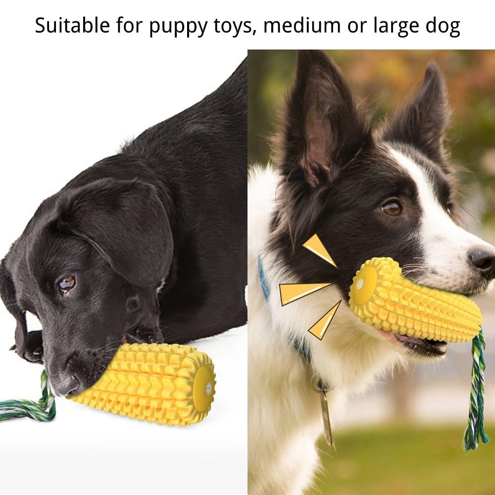 Wytrzymały gumowy gryzak dla p – Corn Dog Stick recenzja i cena